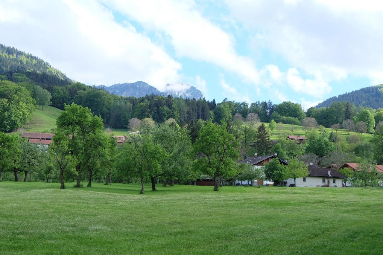 Apartamento Am Jenbach Bad Feilnbach Exterior foto